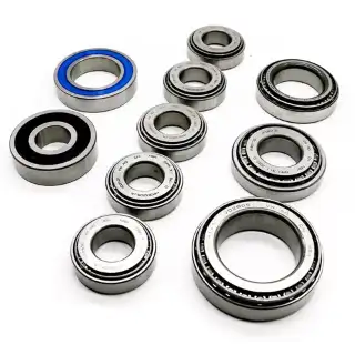 New DQ200 Bearing Rebuild Kit 462005710 (10 pcs)