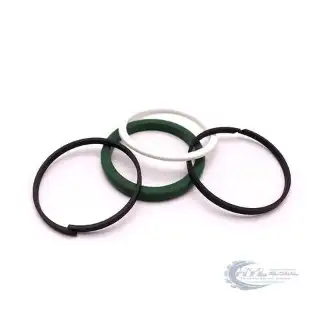 DQ200 Sealing Ring / Piston Ring Kit 0AM325066AC